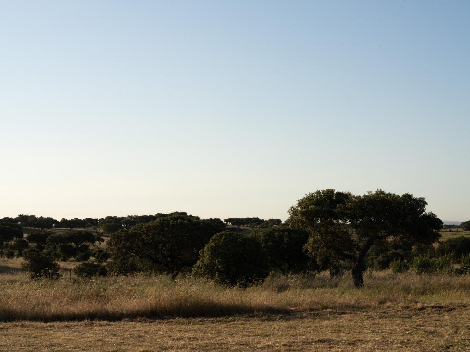 Change The World - Herdade Monte Do Peral Montes Juntos Eksteriør billede