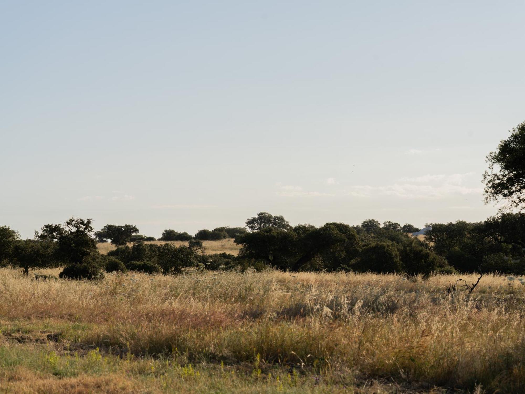 Change The World - Herdade Monte Do Peral Montes Juntos Eksteriør billede